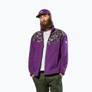 Bluza trekkingowa Salewa Eagle Anniversary plum