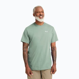 Koszulka męska Jack Wolfskin Essential green zinnia