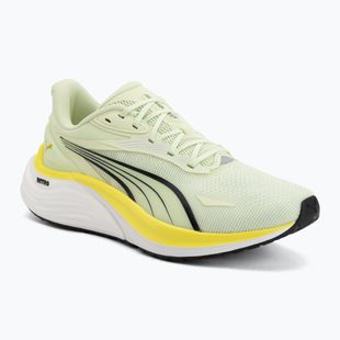 Buty do biegania męskie PUMA Electrify Nitro 4 green