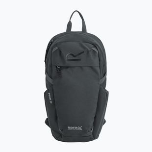 Plecak miejski REGATTA Everyday Prism 20 l ash