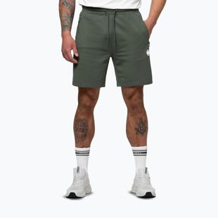 Spodenki męskie Pitbull Nugget Small Logo sage green