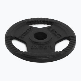 Obciążenie żeliwne XTREXO TRX-ICP001 1,25 kg