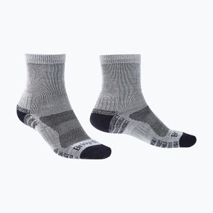 Skarpety męskie Bridgedale Lightweight Merino Performance 3/4 Crew Original silver/navy