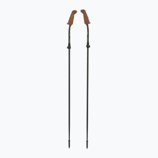 Kije nordic walking Fizan Walx Pro