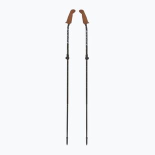 Kije nordic walking Fizan Walx Xplorer grey