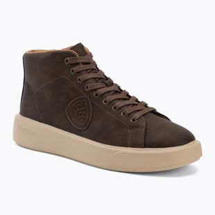 Buty męskie Blauer USA F6BUCK08 brown