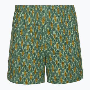 Spodenki męskie Royal Robbins All-In algae fish pt