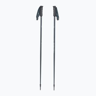 Kije narciarskie Fischer Lite asphalt grey